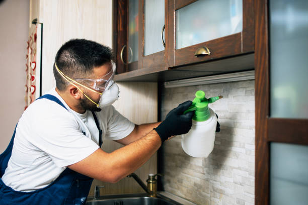 Best Mosquito Control Services  in Richmond Heights, OH