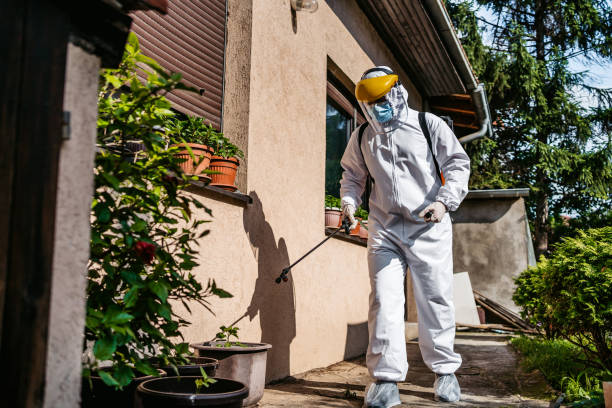 Best Best Pest Control Companies  in Richmond Heights, OH
