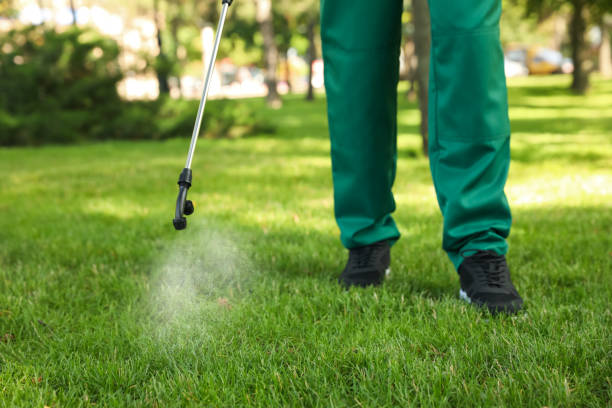 Best Rat Extermination Near Me  in Richmond Heights, OH