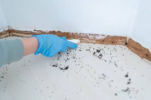 Pest Control Cost in Richmond Heights, OH